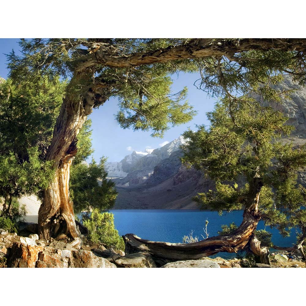 Фототапет Стандарт Река 180х127 см 